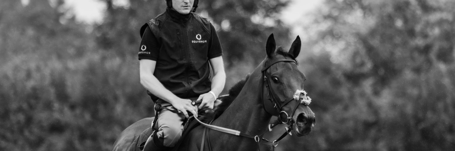 Equishox banner