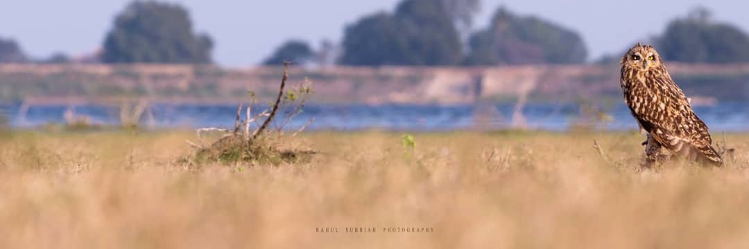 rahulwild13's profile banner image
