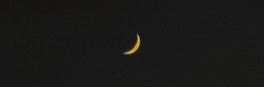 renle. 𓃠's banner