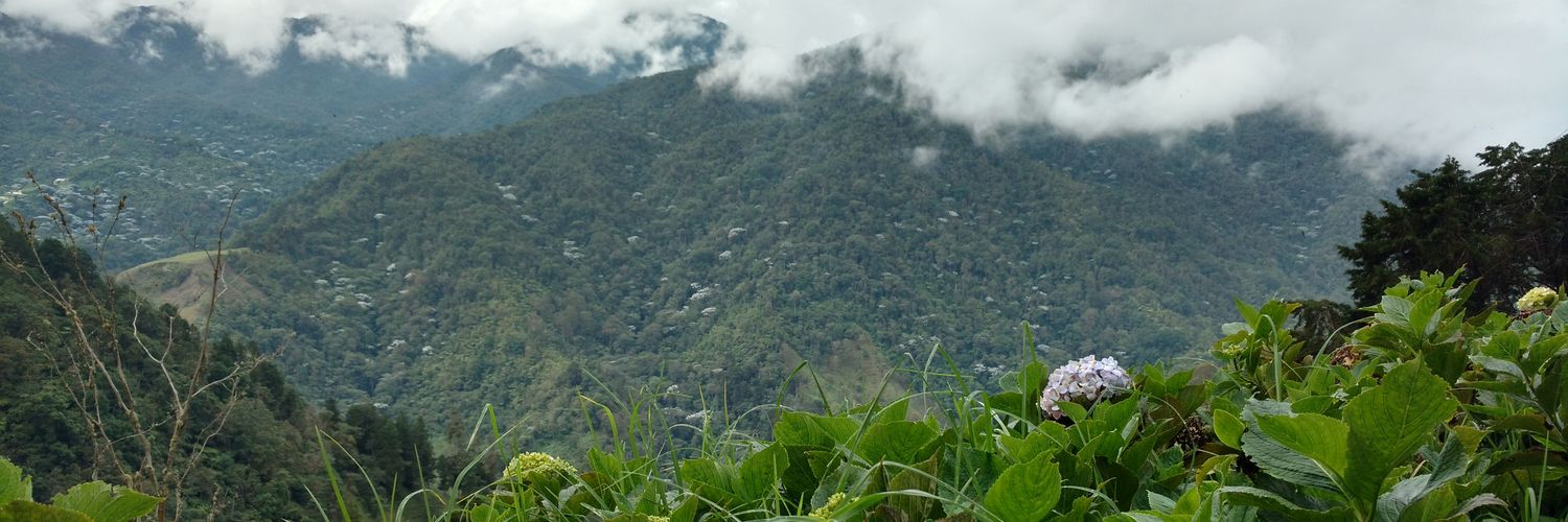 Mauro Rodriguez banner