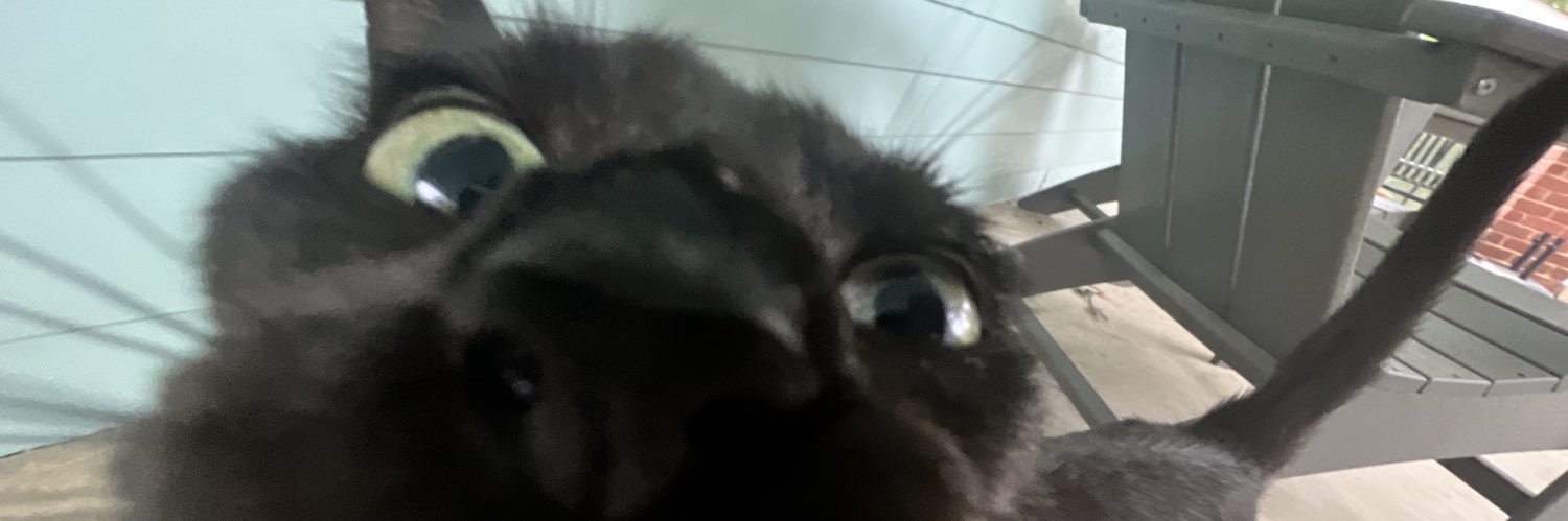 DavidRStringer's profile banner image