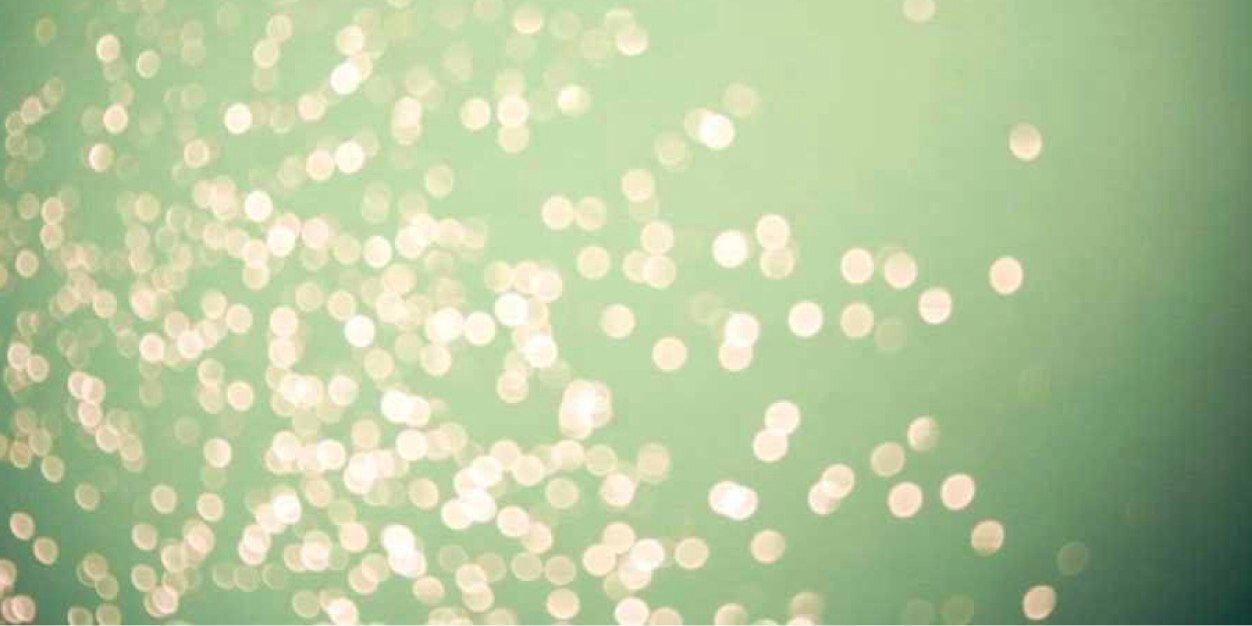 ShannonElise_'s profile banner image