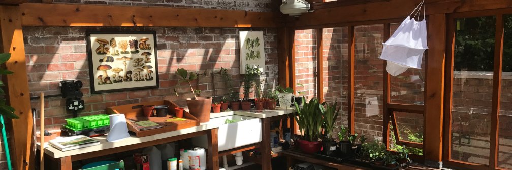 Mark Constantine banner