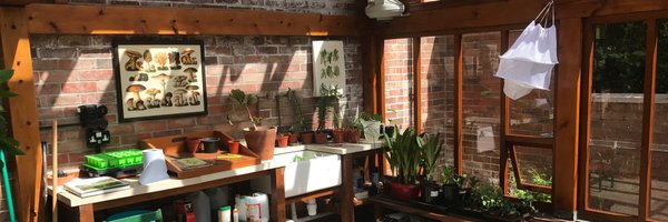 Markatlush Profile Banner