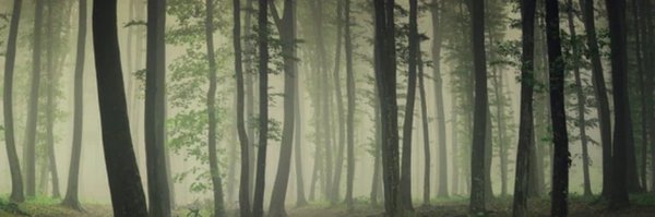 logistrix Profile Banner