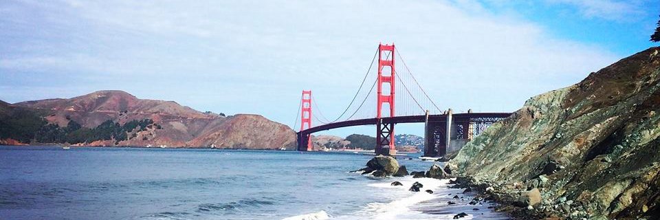 afshanqureshi's profile banner image