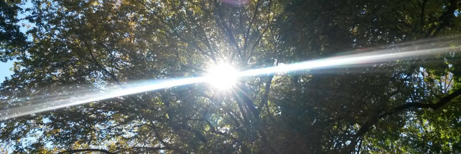 Maferife's profile banner image