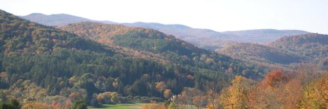 George Sadowsky banner