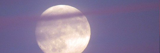 msialmeida's profile banner image
