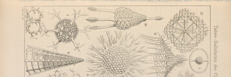 Victorian Network banner