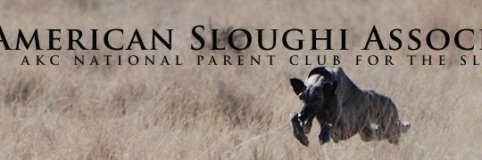 AmSloughi's profile banner image