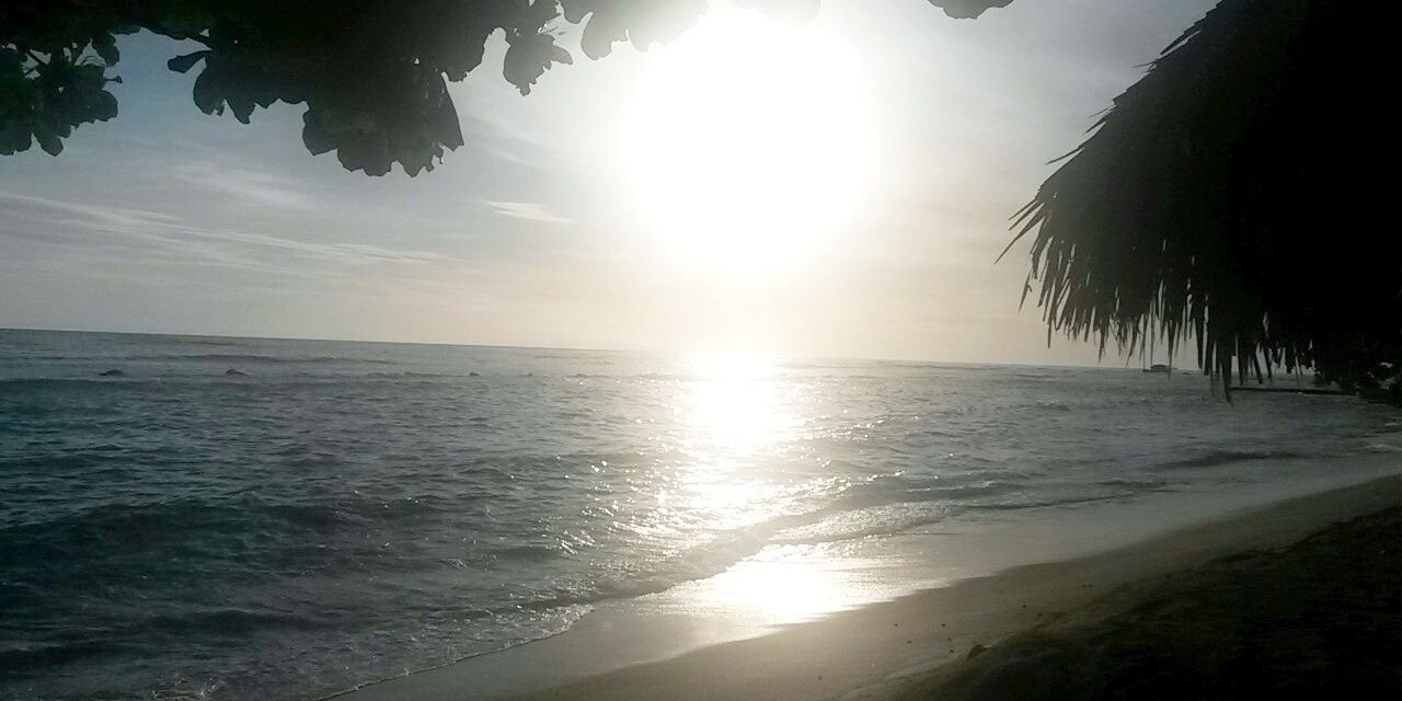 July Aguilera ♡ banner