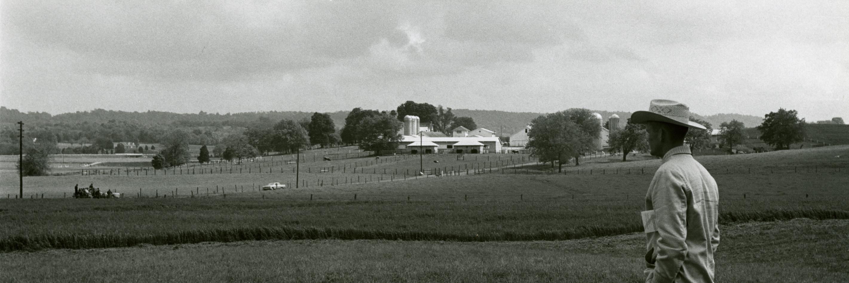 UT AgResearch banner