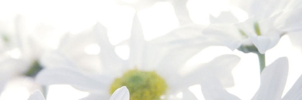 Colleen Carruthers banner