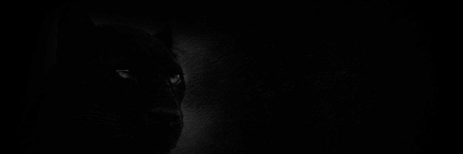 vrauldias's profile banner image