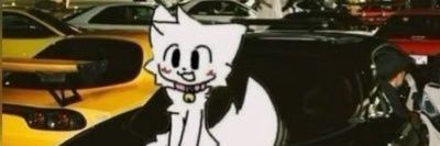 redfoxrice飯糰's banner