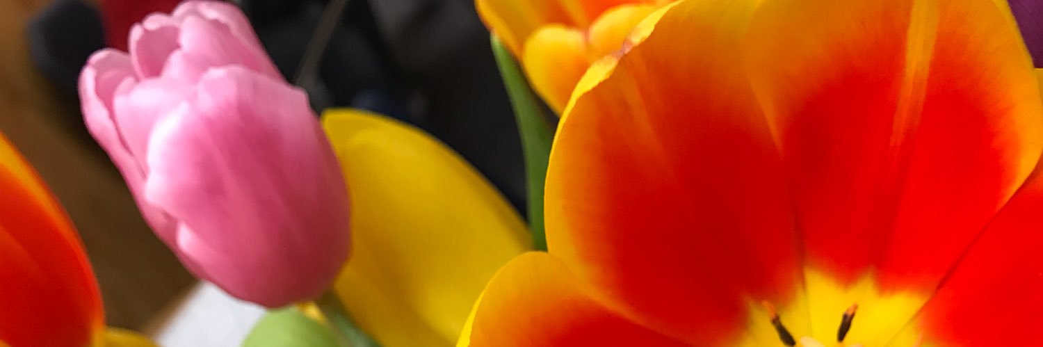 beestofburden's profile banner image