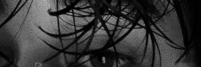 𝕊𝔄ℍ𝕄 🖤 banner