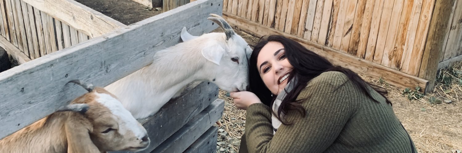 KayyMcCormack's profile banner image