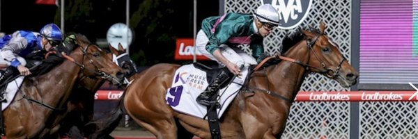 suttonracingdom Profile Banner