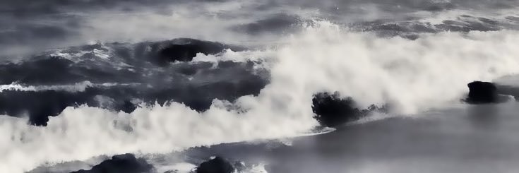 P. banner