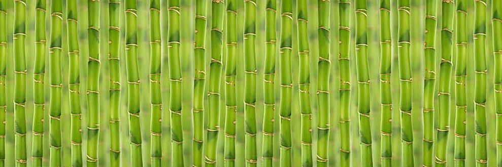 BAMBOUPALME's profile banner image