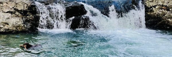 Minnie1883867 Profile Banner