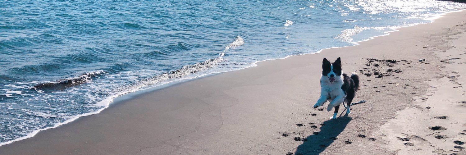 at__on's profile banner image