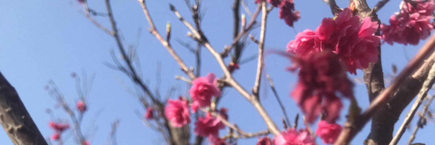 weyhui's profile banner image