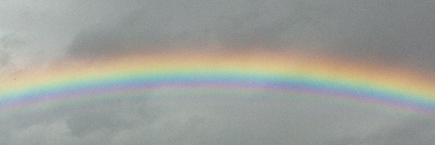 sherryann63's profile banner image