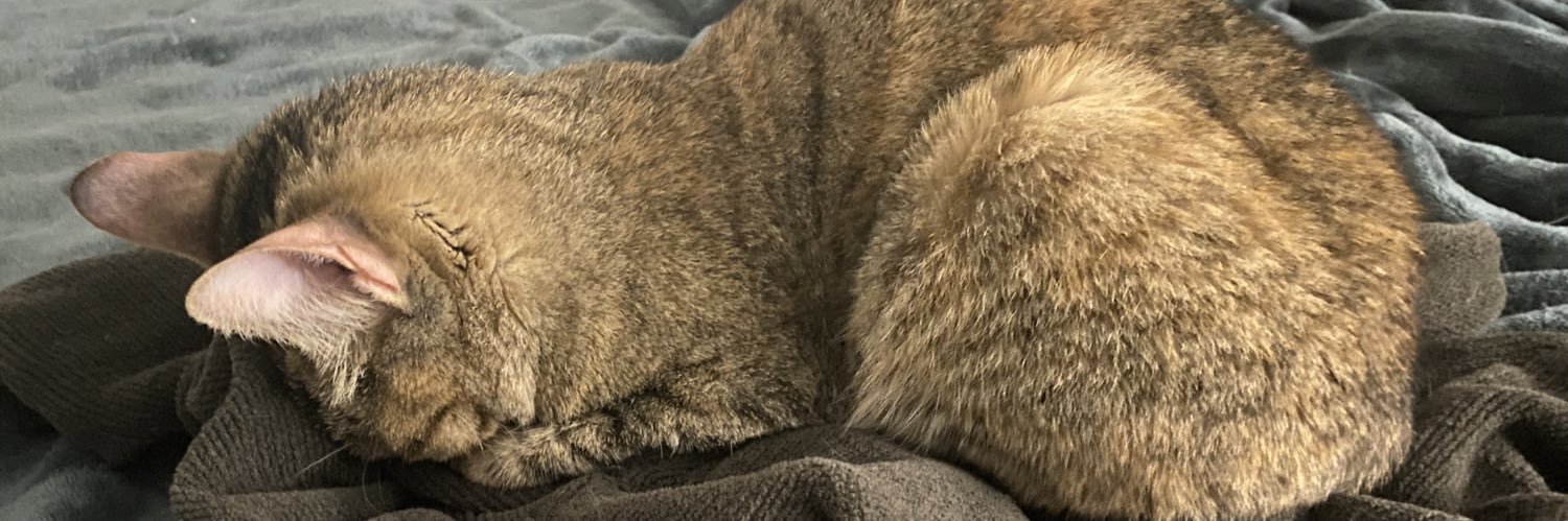 sue_rep1311's profile banner image