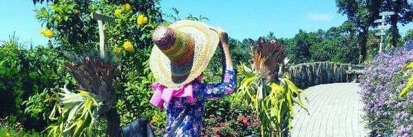 aiceyahnose's profile banner image