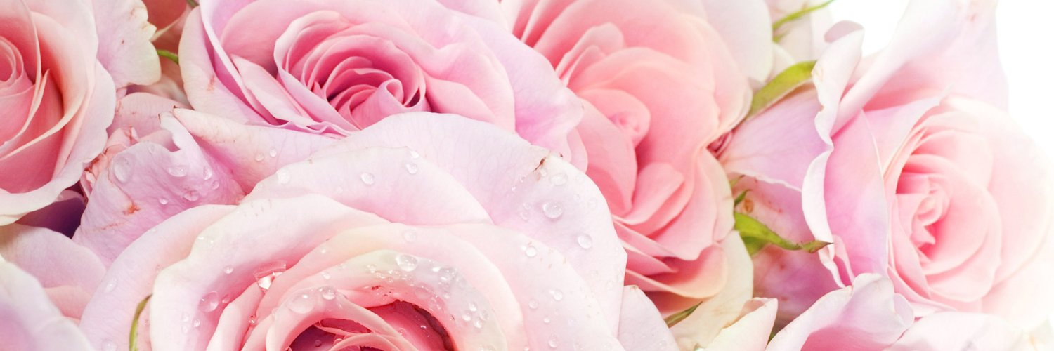 M Shaffee| ETHGas ⛽ banner