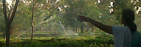 barpathartea's profile banner image