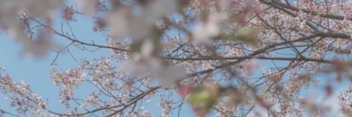 rositein's profile banner image