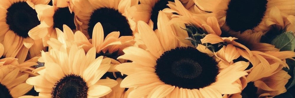 httpsmaui's profile banner image