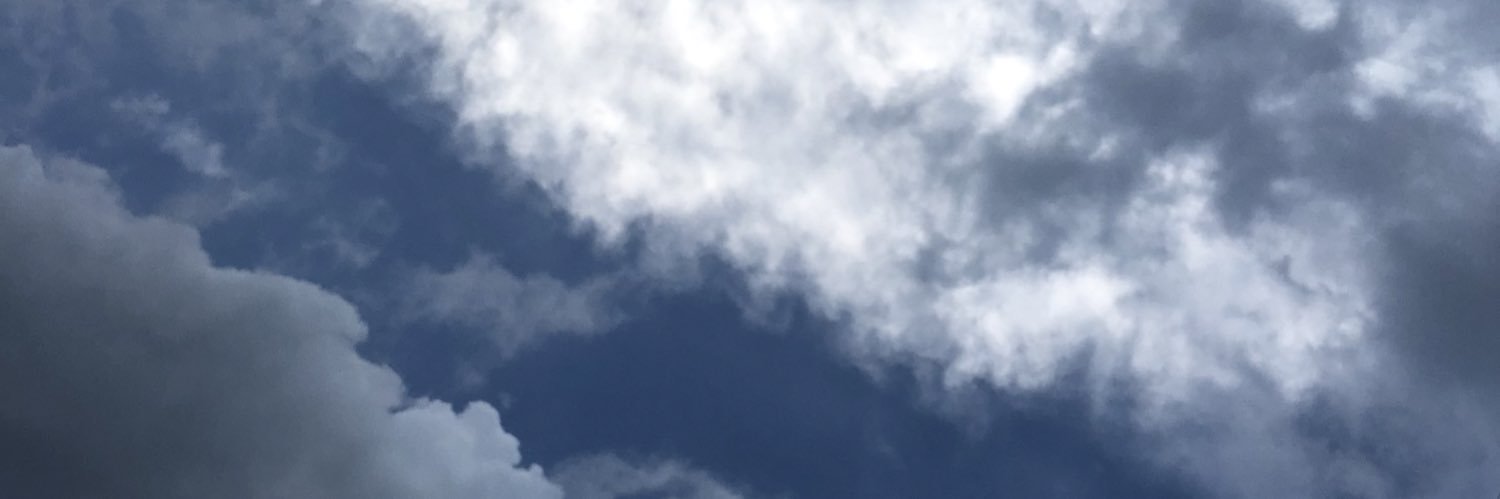 IDt150163's profile banner image