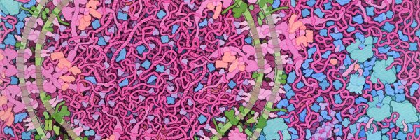 sofiaaognibene Profile Banner