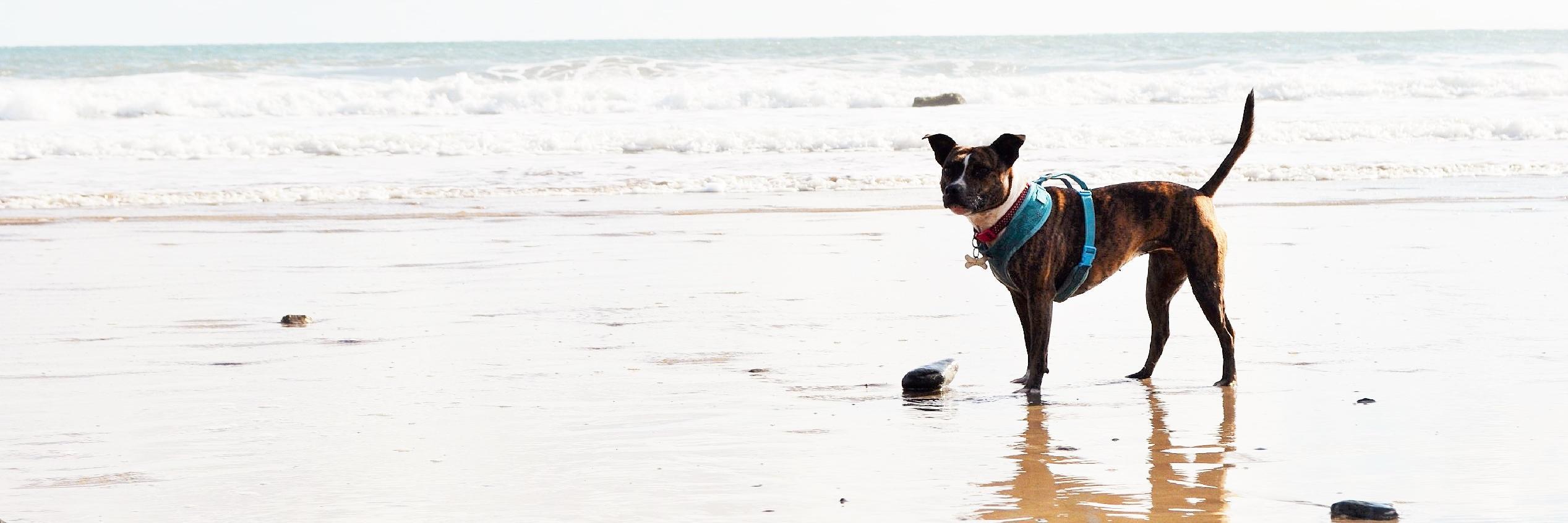 CharityStory's profile banner image