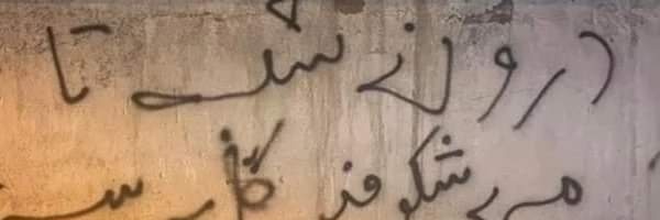 Narges Babk banner