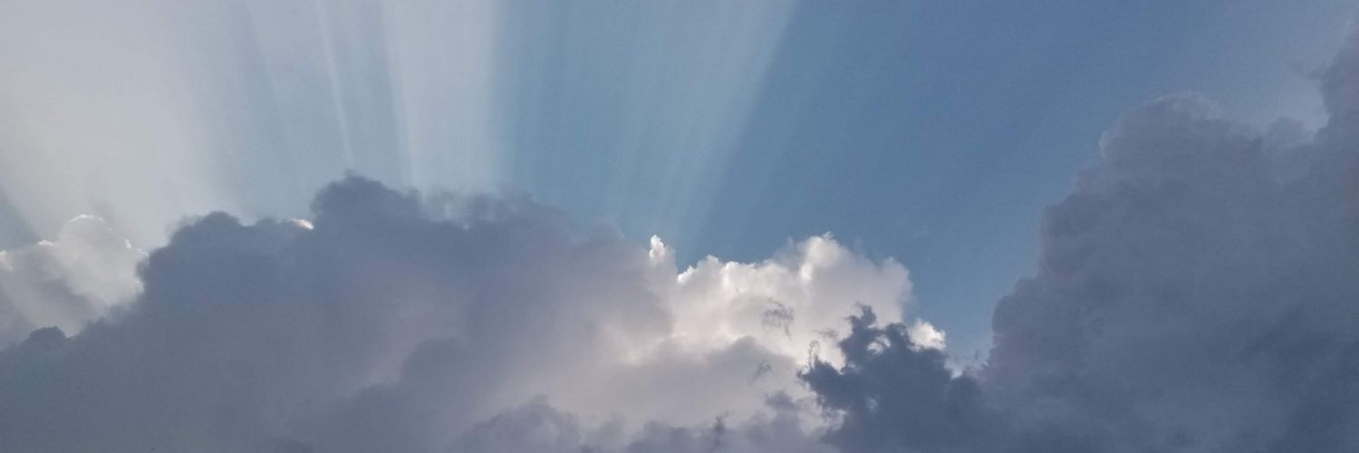 Jo Anne Roberts banner