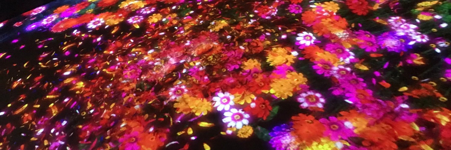 🐥すず🐥 banner