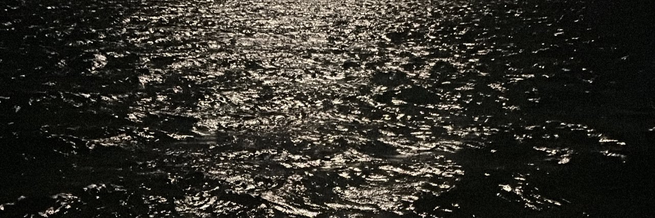 🐚 banner