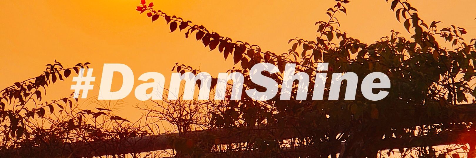 跳登兒虎毆打習維尼 banner