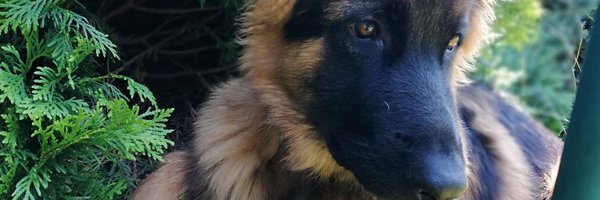 EwaG58 Profile Banner