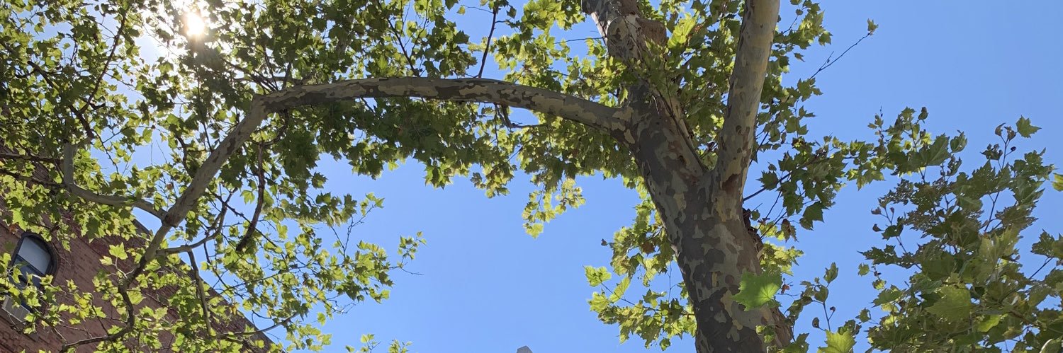 immiguelito's profile banner image