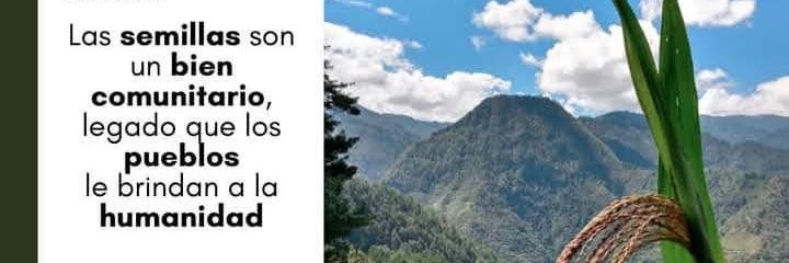 RED EN DEFENSA DEL MAIZ banner