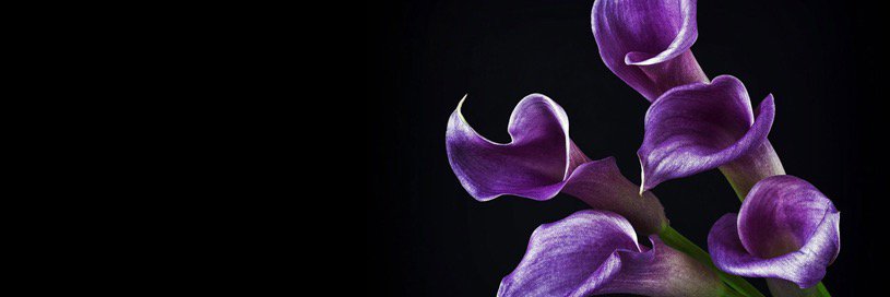 j1_design's profile banner image