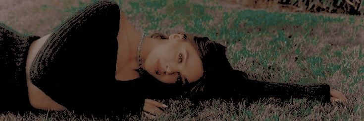 ᅠᅠᅠ〝 ⋆ 𝙨𝙞𝙡𝙫𝙚𝙧.ೃ banner