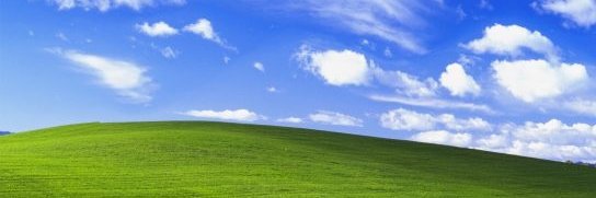 kamoNicky's profile banner image